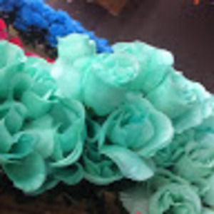 Meet your Posher, Crystal